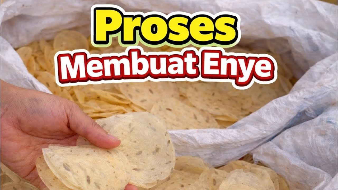 Jarang Orang Tahu! Enye Singkong Hasilnya Sampai 3 Karung