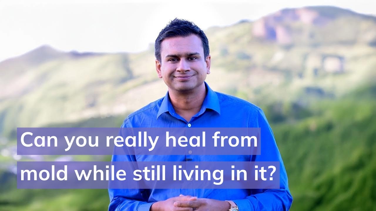 Can You Really Heal From Mold While Still Living In It?