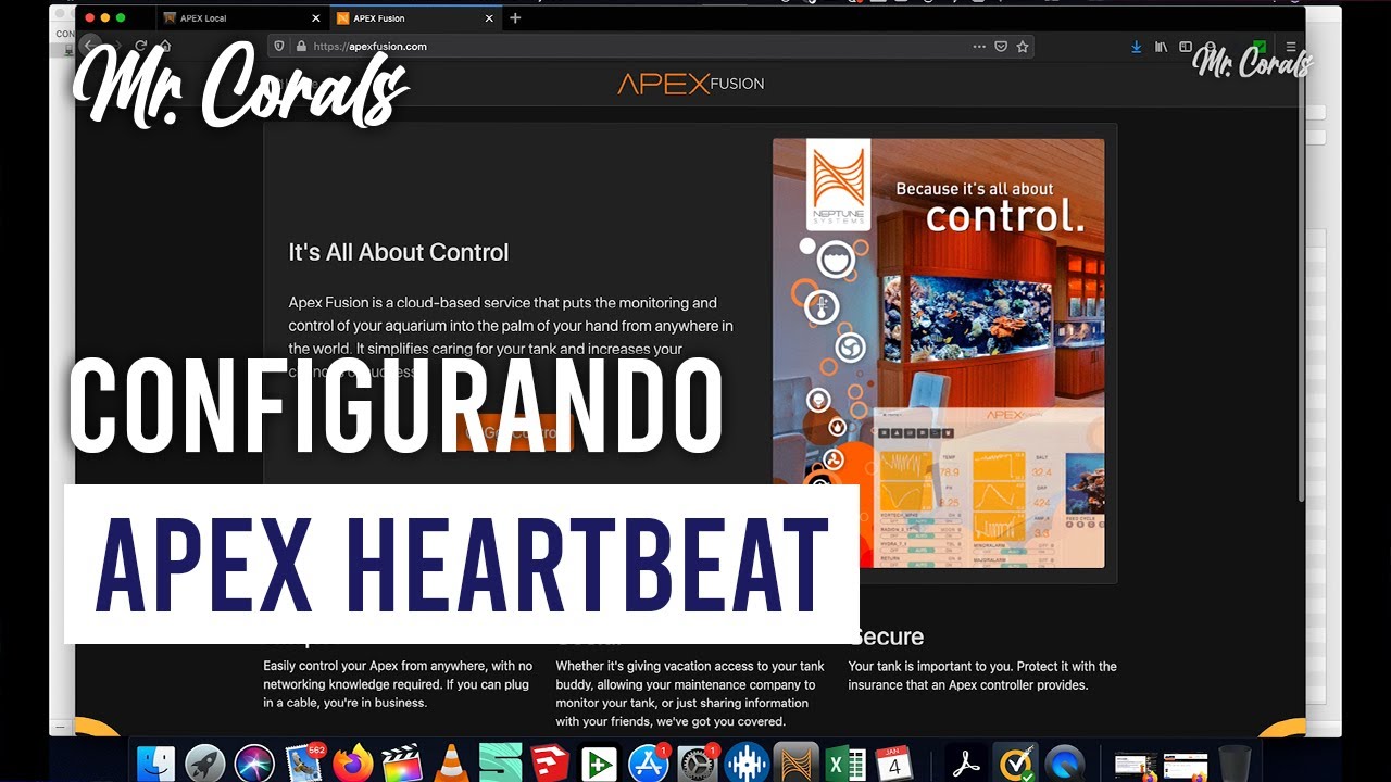 Como configurar el HEARTBEAT de APEX en español