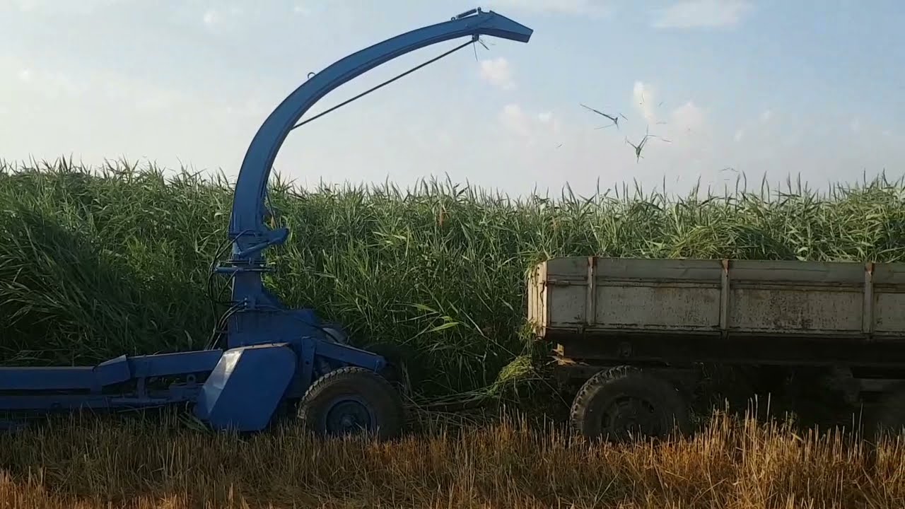 кормоуборочный прицепной комбайн к мтз 50-80 кошение на зелёную массу