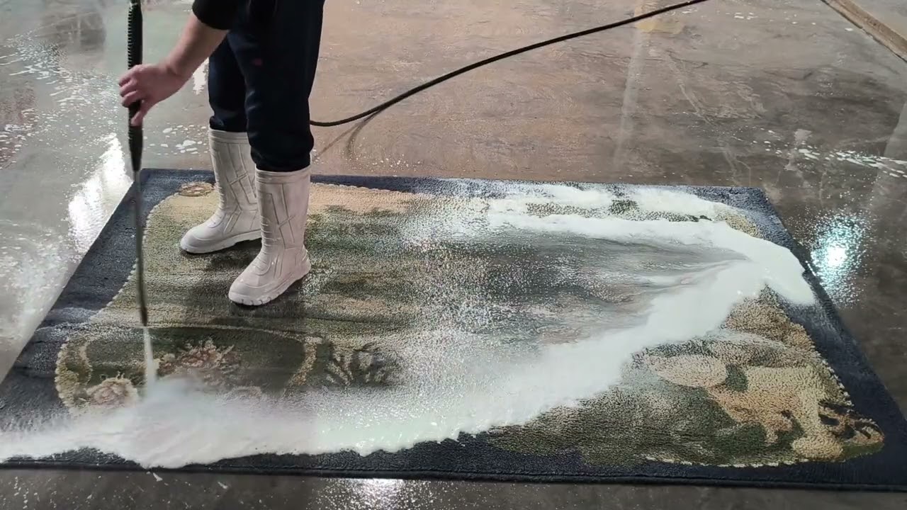 Before washing the carpet, I watched the movie 
