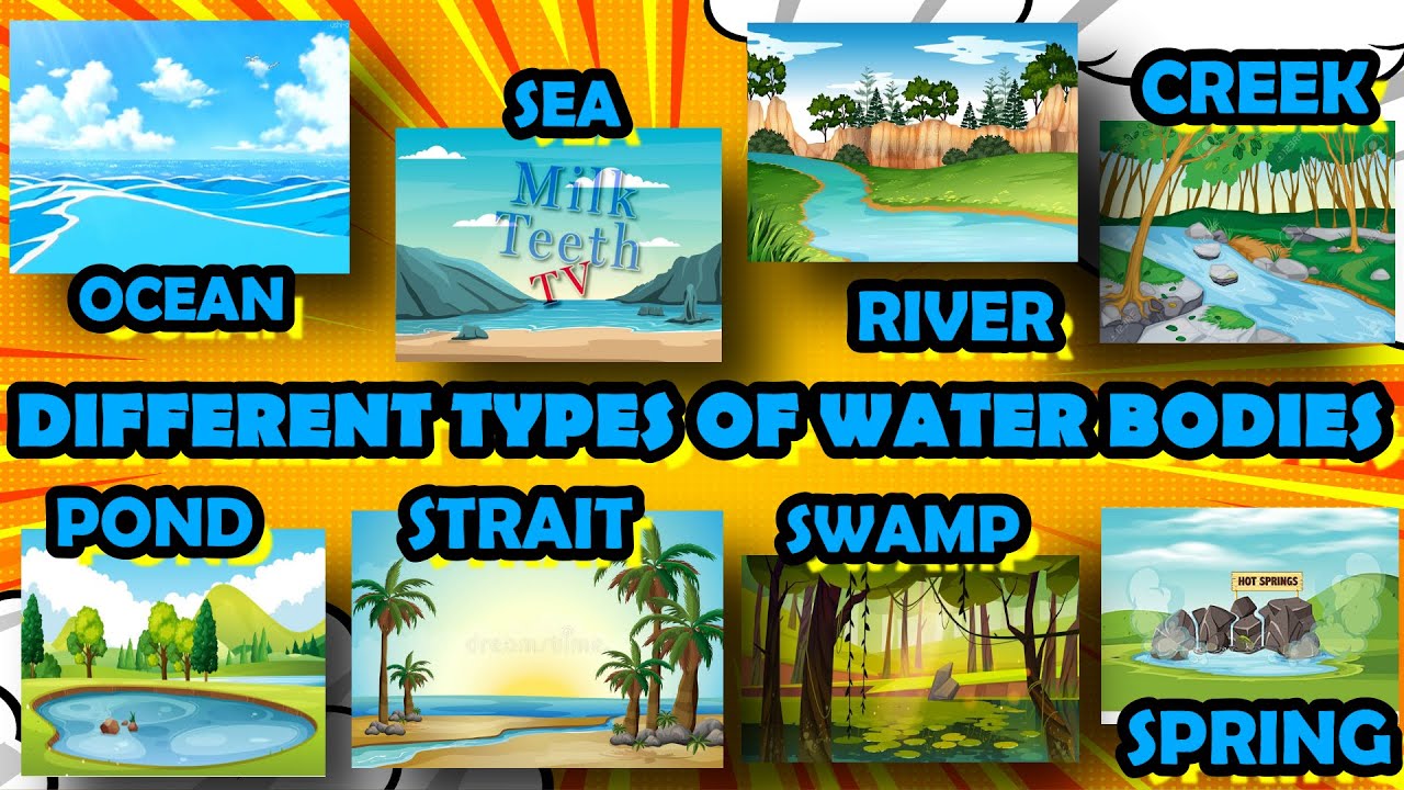Different Types of water Bodies | Types of Waterforms with pictures and examples
