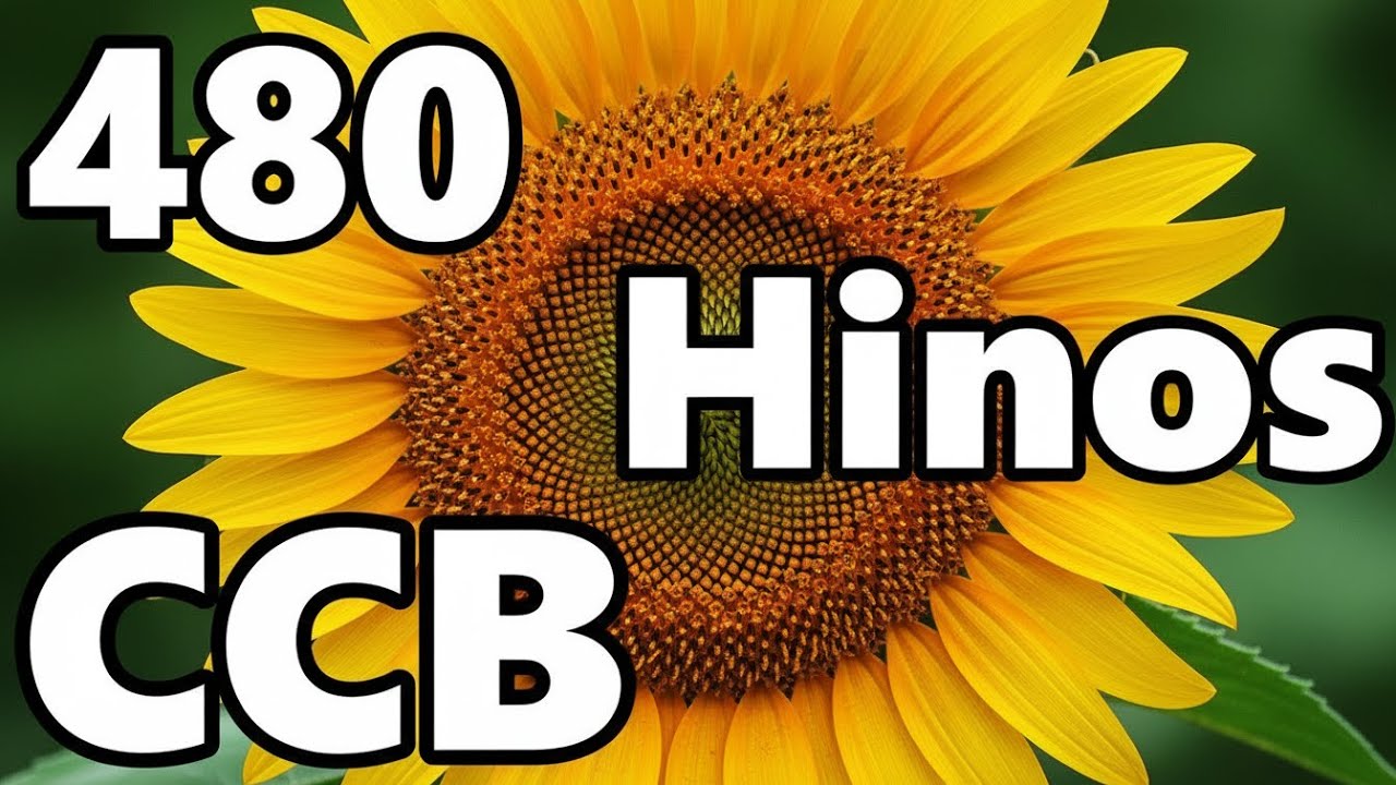 480 HINOS CCB CANTADOS CCB - 25/02/2026 - 186,287,94,95,196,297,398,299,100,101,102,103