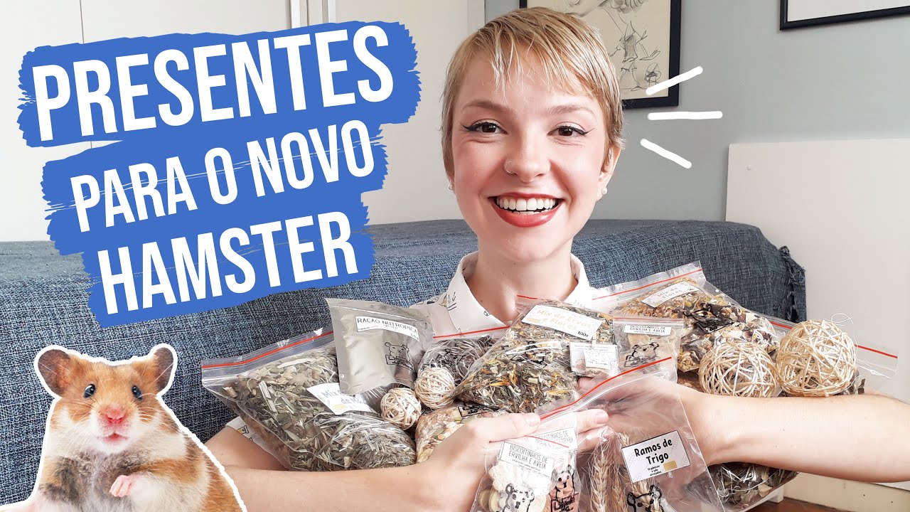 Ganhamos presentes para o novo hamster! Pet Lu Box Loja do Pneu