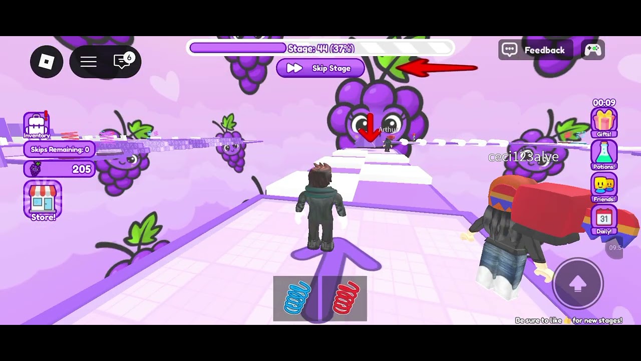 🍇  obby