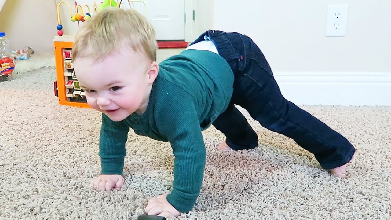 BABY BEAR CRAWL!!
