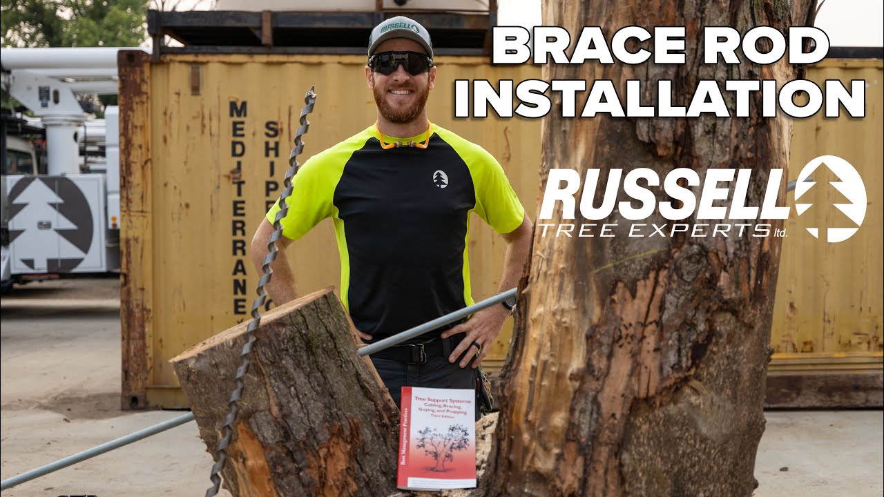 Brace Rod Installation Tailgate Meeting I Russell Tree Experts