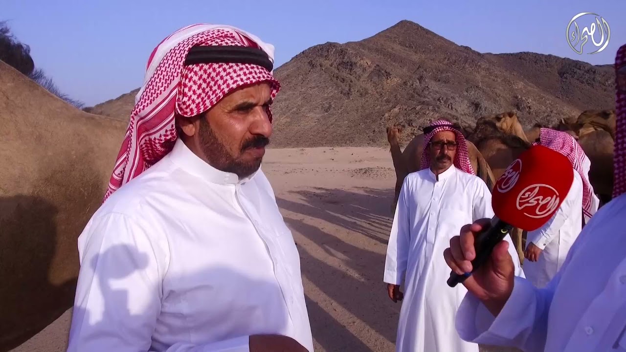 برنامج أهل الإبل 