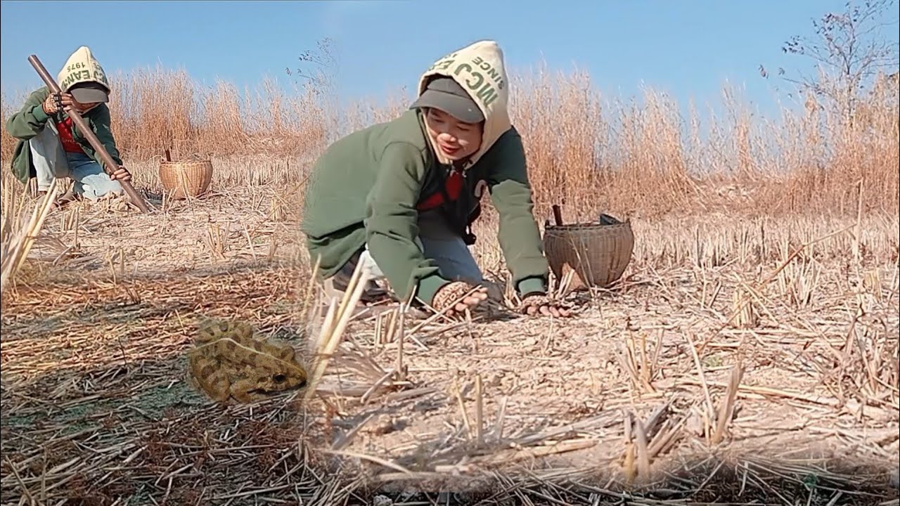 ຢາມຂຸມຫາຂຽດຍາມໜາວ อยามหลุมหาเขียดอิ่โม้ยามหนาว