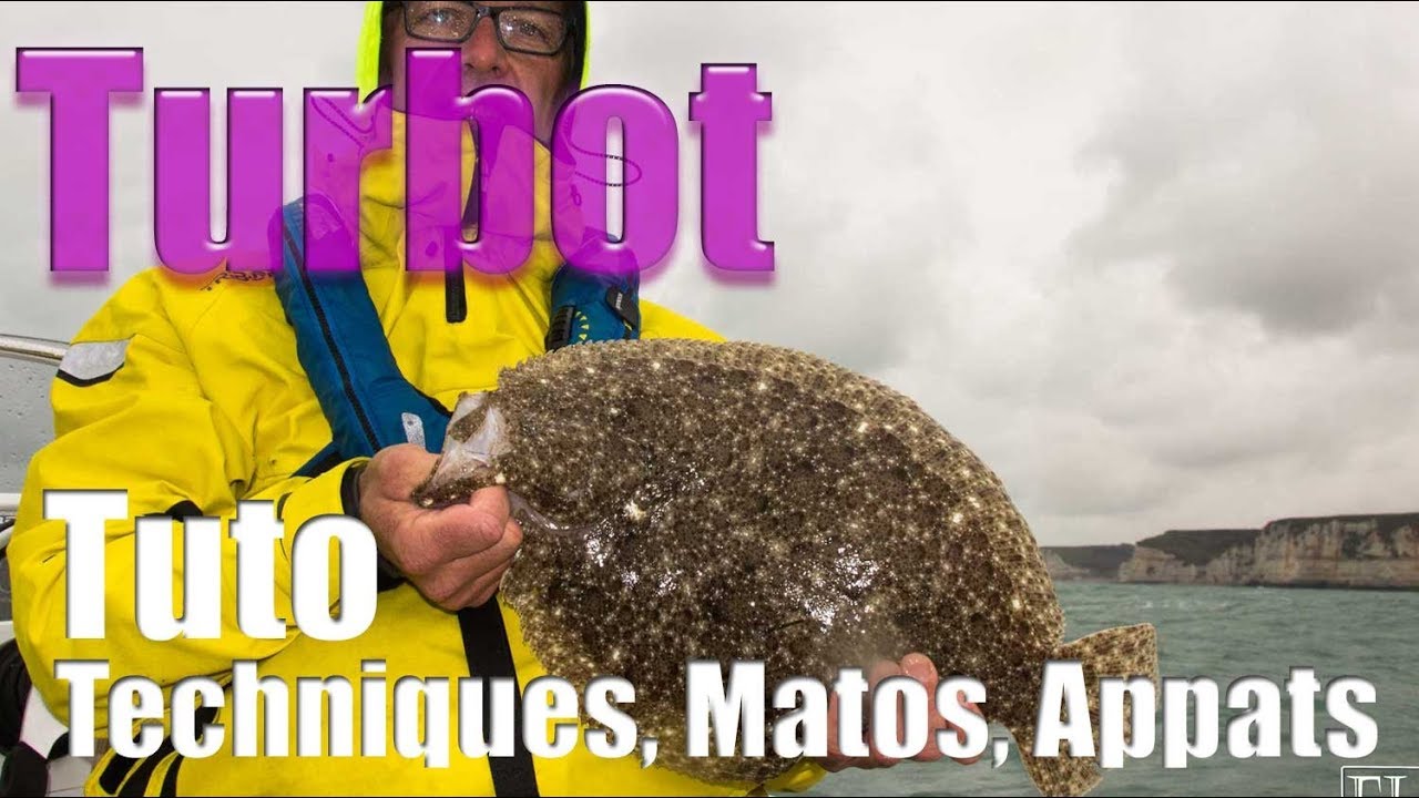 PÊCHER le TURBOT : Quelles Techniques, Leurres et Appâts utiliser