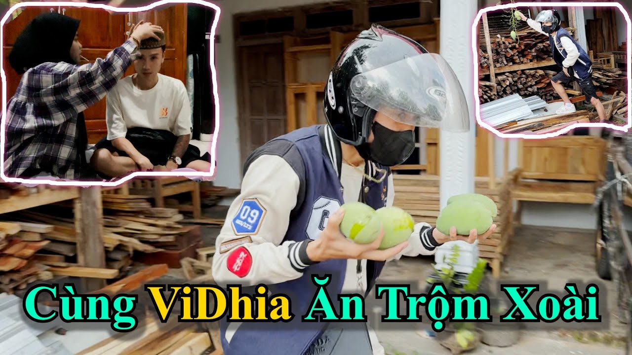Cùng ViDhia Đi Ăn Trộm Xoài Của MakTum | Đạt Villa