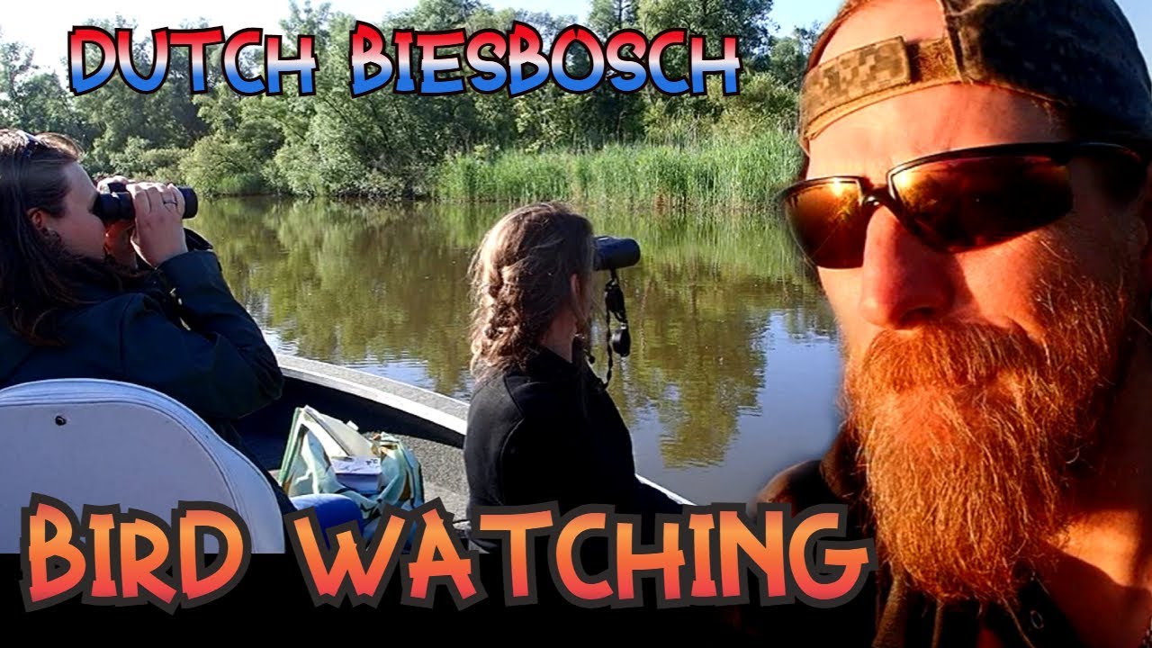 Bird watching in the Dutch Biesbosch.