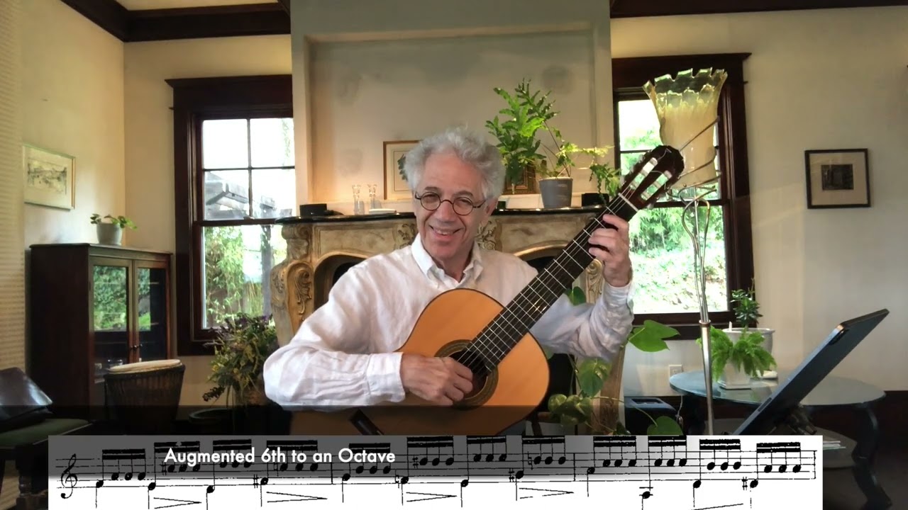 Mini-Masterclass on Etude Op 60 #7 by Matteo Carcassi, Dr. Peter Joseph Zisa (Part 2)