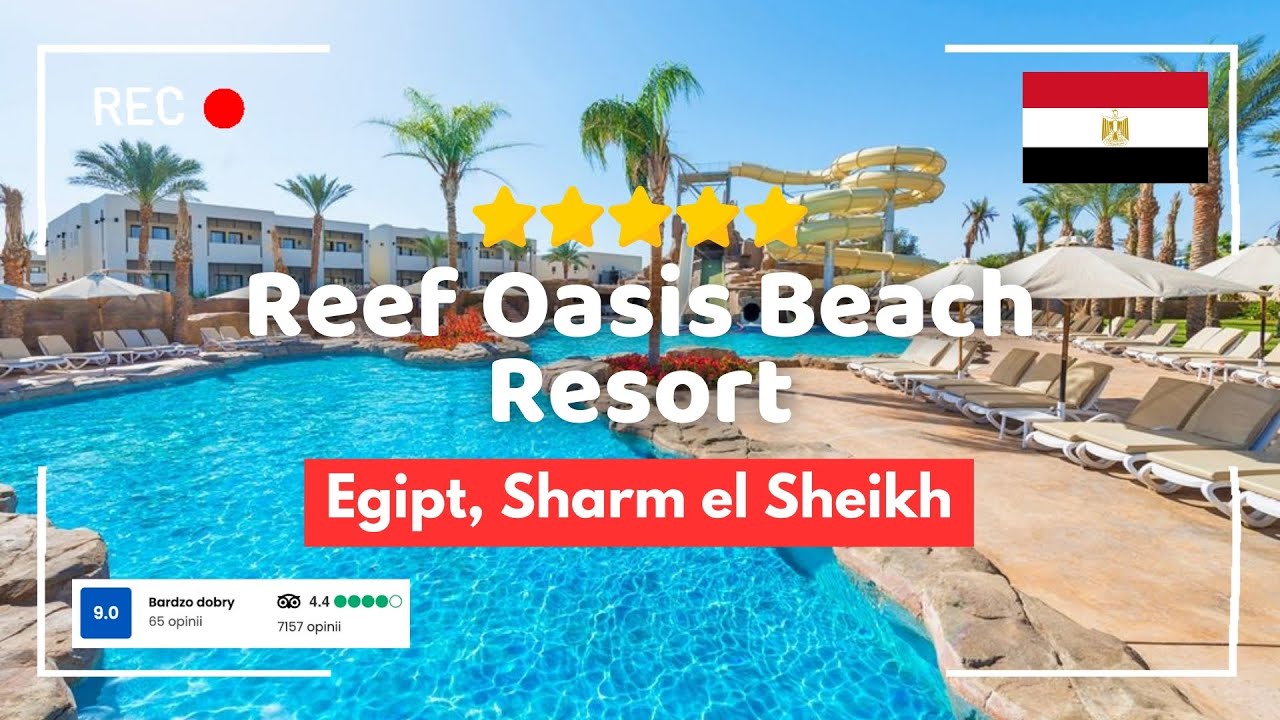 🇪🇬 Reef Oasis Beach Resort 5* – rafa, aquapark i duży resort w Sharm El Sheikh #wakacje #egipt