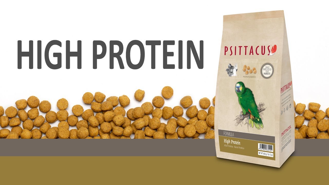 High Protein (English version)