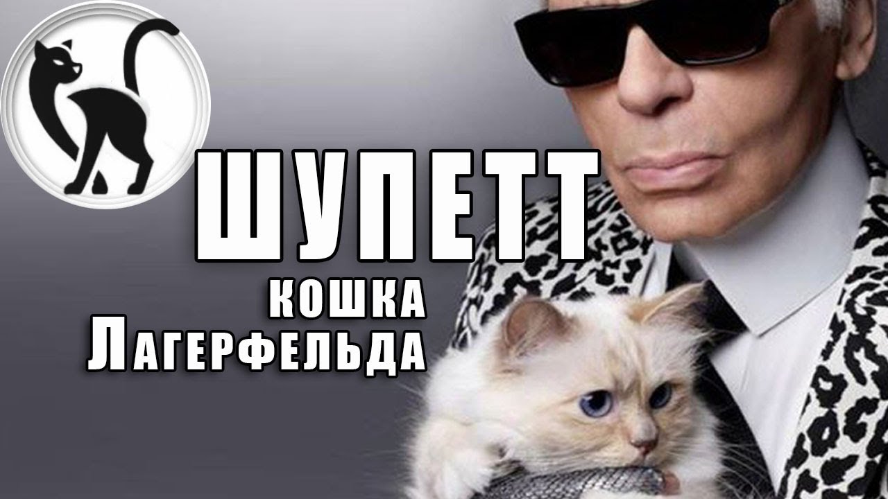 Шупетт, кошка Карла Лагерфельда - самая богатая кошка