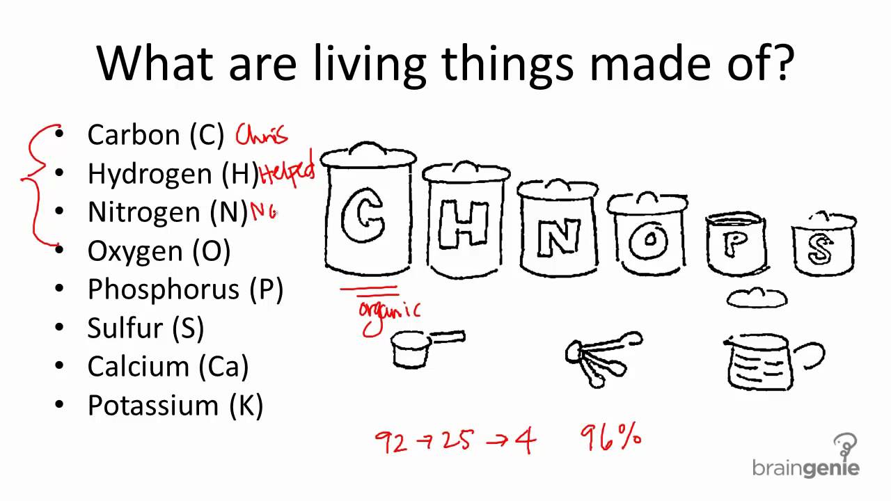 1.1.1 Common Elements in Living Things