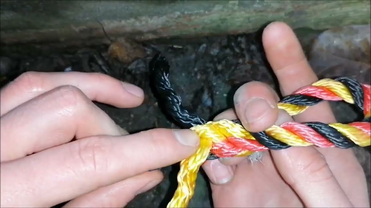 Augspleiß