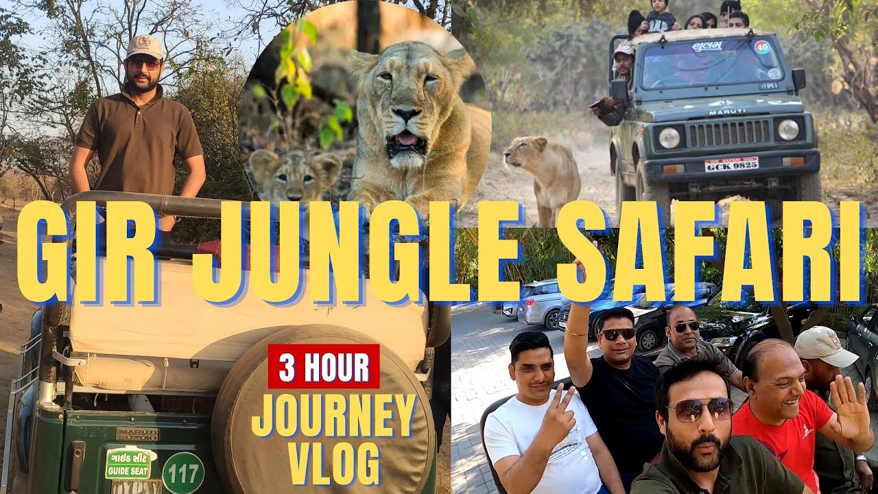 Gir Jungle Safari I Sasan I 3 Hour Journey Vlog I Gir Sanctuary I KISHANI VLOGS #girsafari #sasan