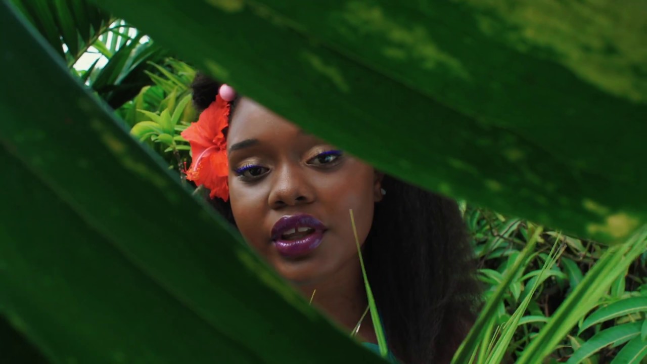 Amindi, Tessellated & Valleyz - Pine & Ginger (Official Video)