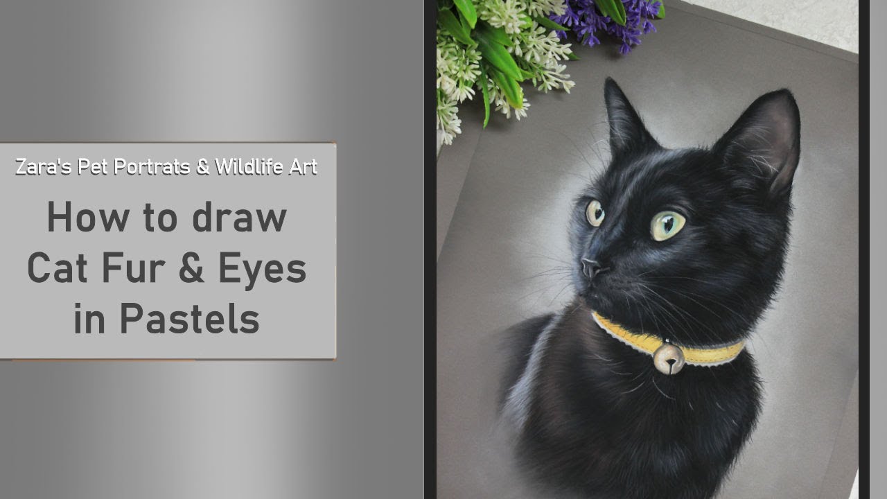 Drawing Cat Fur and Eyes in Pastels | Drawing Cat Eyes | Cat Pet Portrait