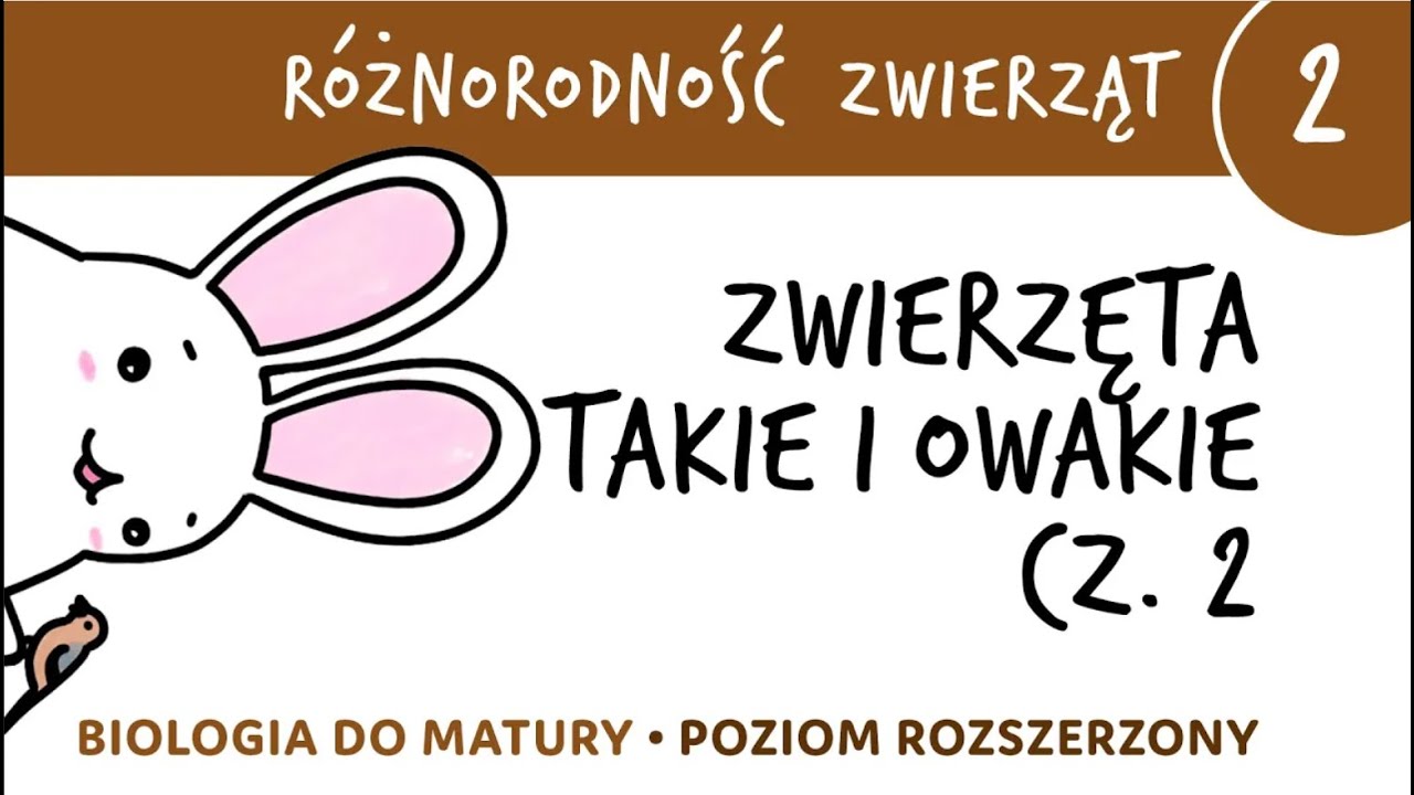 Różnorodność zwierząt 2 🐸 Zwierzęta takie i owakie cz.2 - matura z biologii rozszerzona