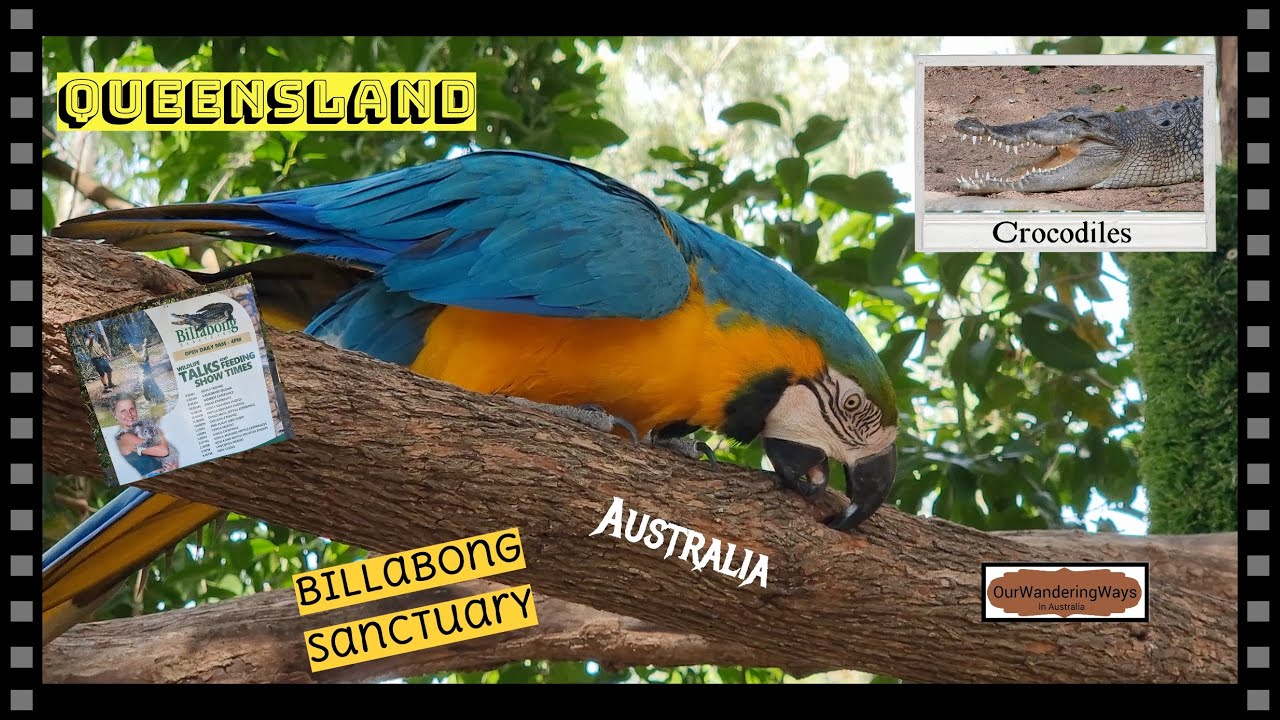 Billabong Sanctuary Townsville Queensland 2024