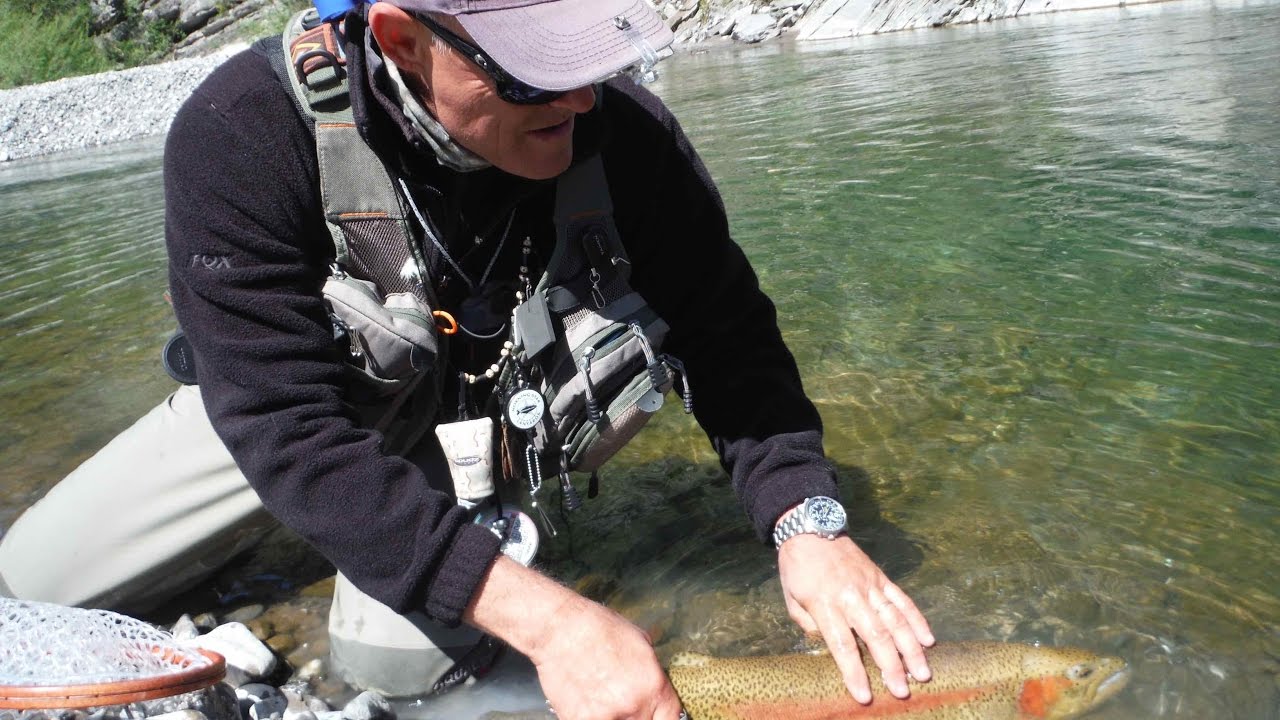 Flyfishing on Trebbia river