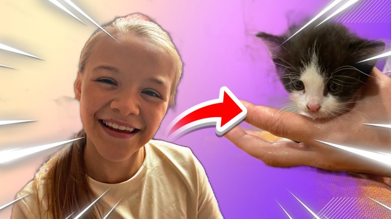 Jak JSME zachránili KOTĚ V NOUZI 😺 Mia LOL
