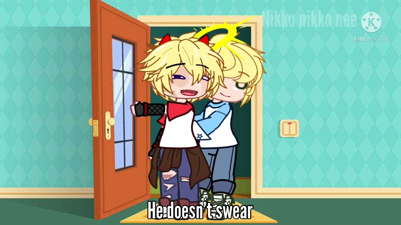 Dsmp meet the opposite au  // part 1 // opposite au