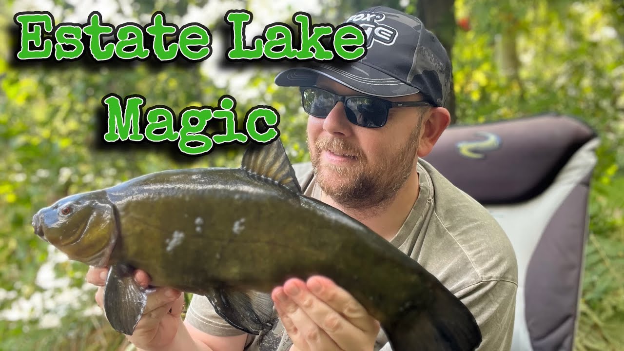 Stockbridge Pond Tench Fishing - Farnham Angling