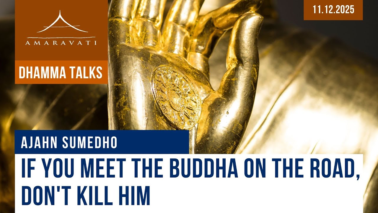 If You Meet the Buddha on the Road, Don't Kill Him | Ajahn Sumedho | 11.12.2025