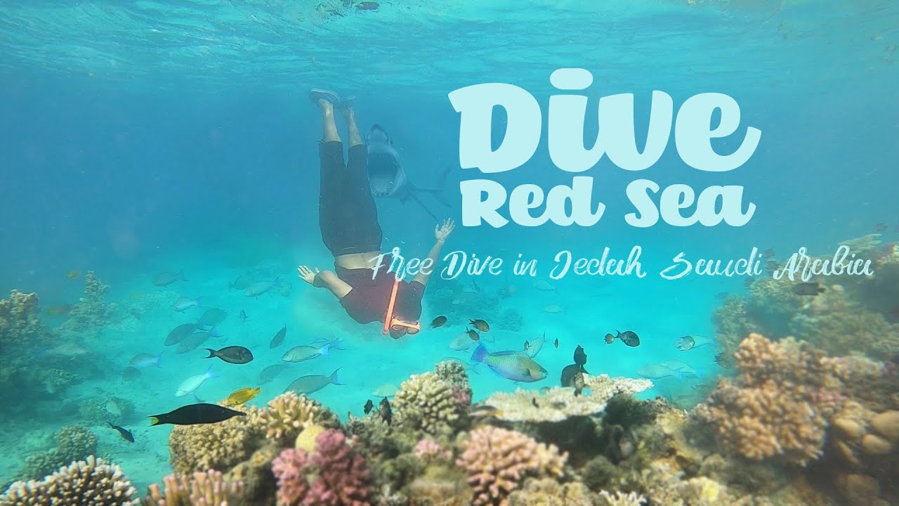 Visit jeddah saudi arabia | Free Snorkeling in Saudi Arabia Jeddah Red Sea | saudi activities