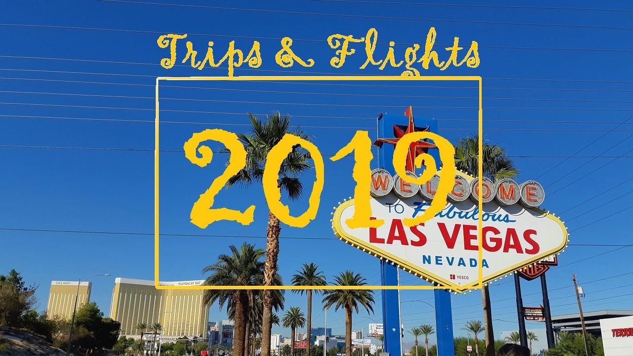 [travel] Trips & Flights 2019 | Petra, Tenerife, Taiwan, Hong Kong, Dubrovnik, Dubai, Marrakesh, USA