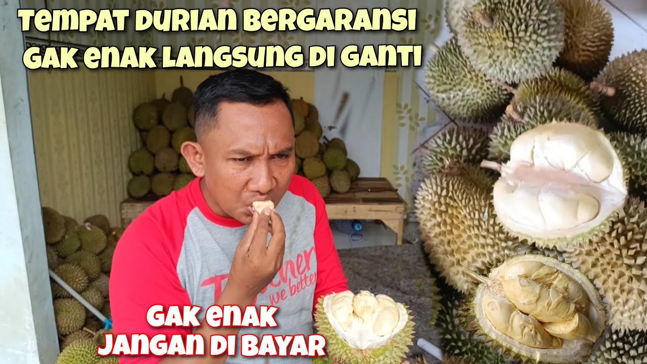 LIHAT DURIAN DI LAPAK MAS BASAR & MAS DIMAS DI TERMINAL PASREPAN DURIAN BERGARANSI GAK ENAK DI GANTI