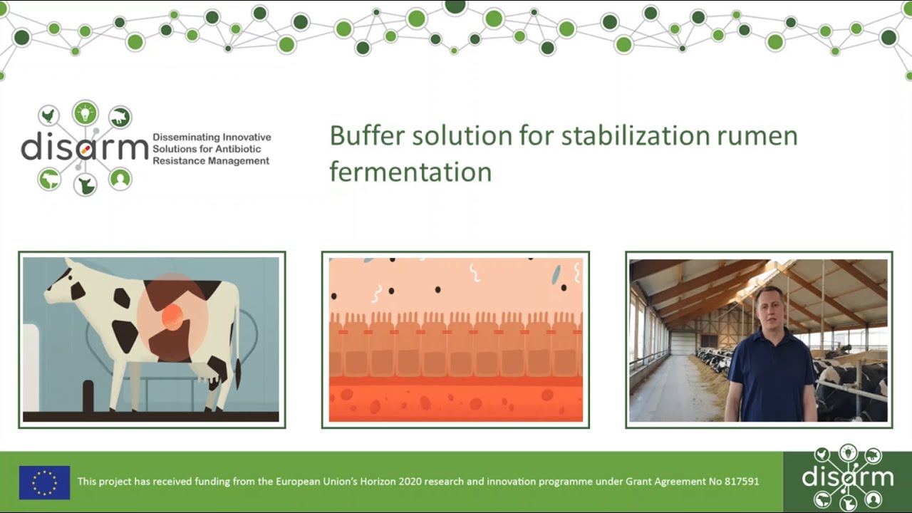 Buffer solution for stabilization rumen fermentation