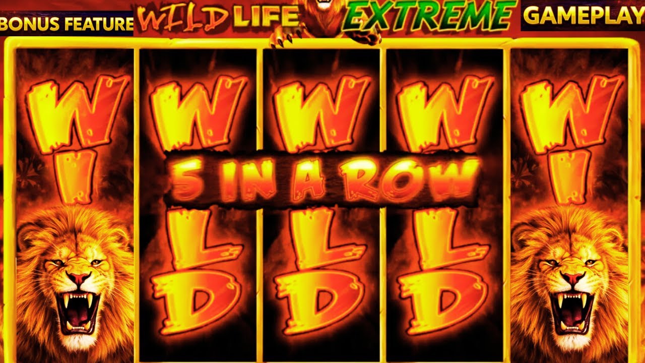 The Wild Life Extreme &ndash; Relaxing Slot Gameplay Session