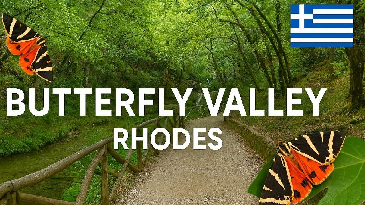 Butterfly valley / Долина бабочек (Petaloudes), Родос, Греция 2025-08
