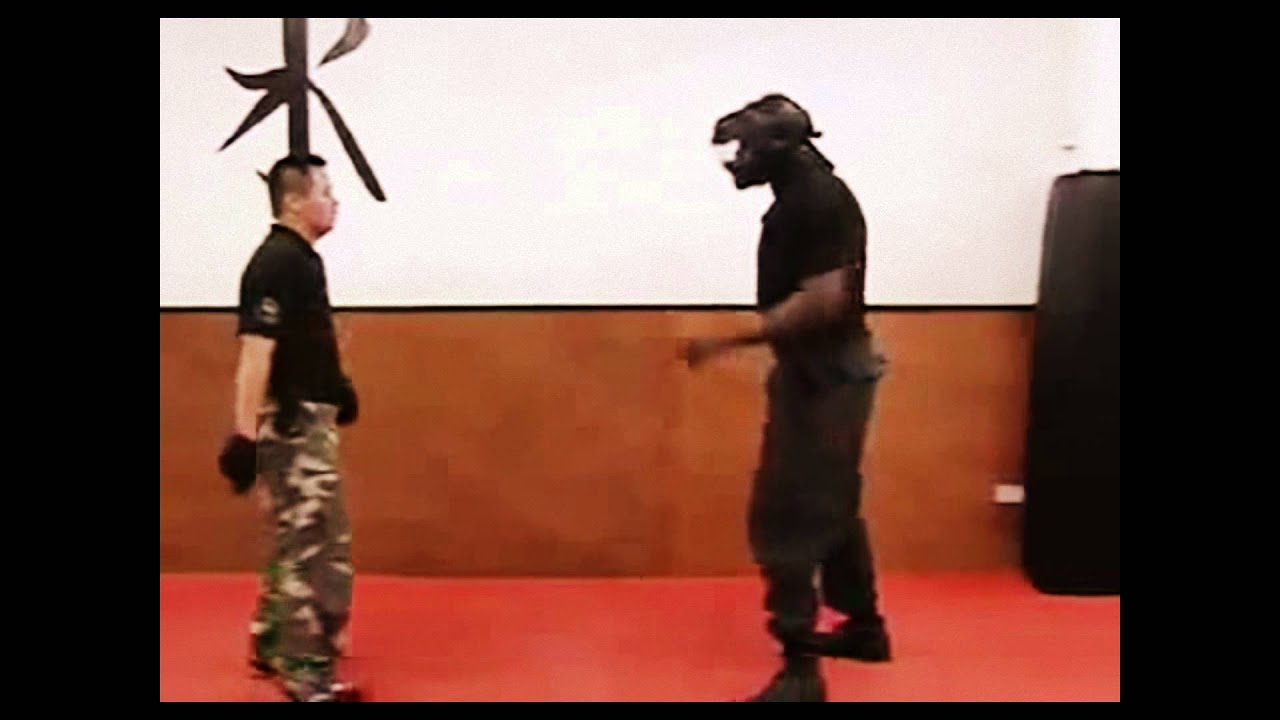 Aikido In Self Defense Disarming a Knife Attack!!!Nice