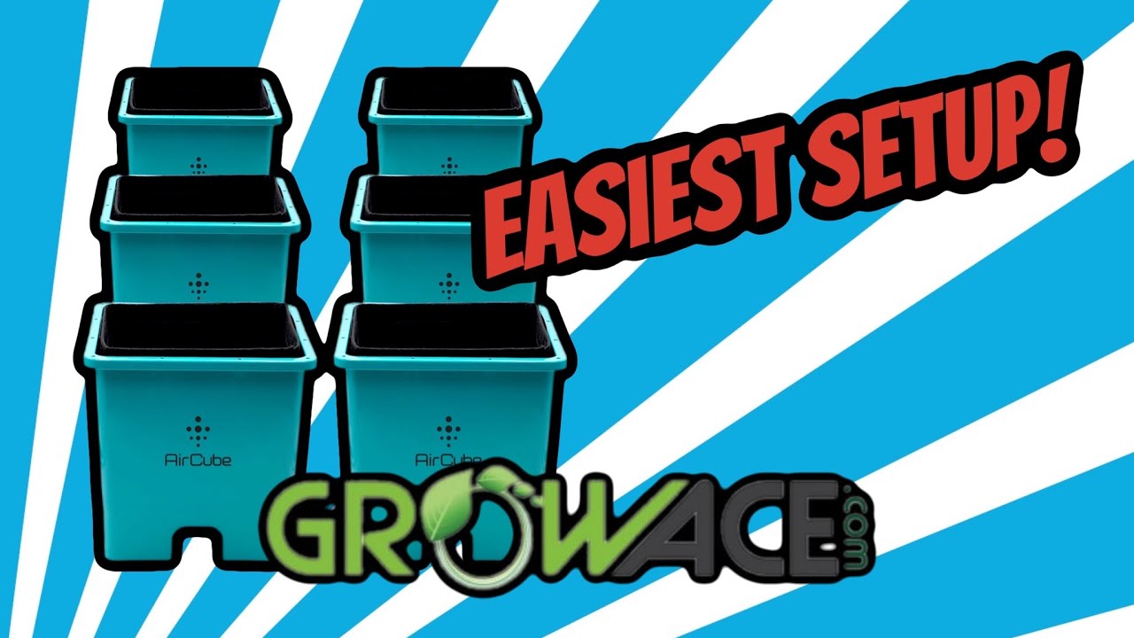 Распаковка и настройка гидросистемы Grow Ace Air Cube &mdash; ЛЕГКАЯ
