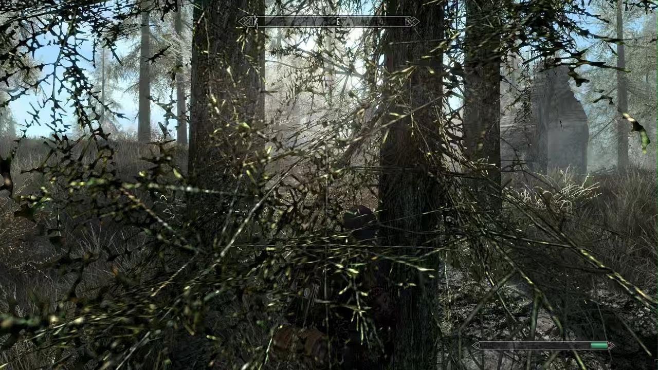 Skyrim_20260211172940