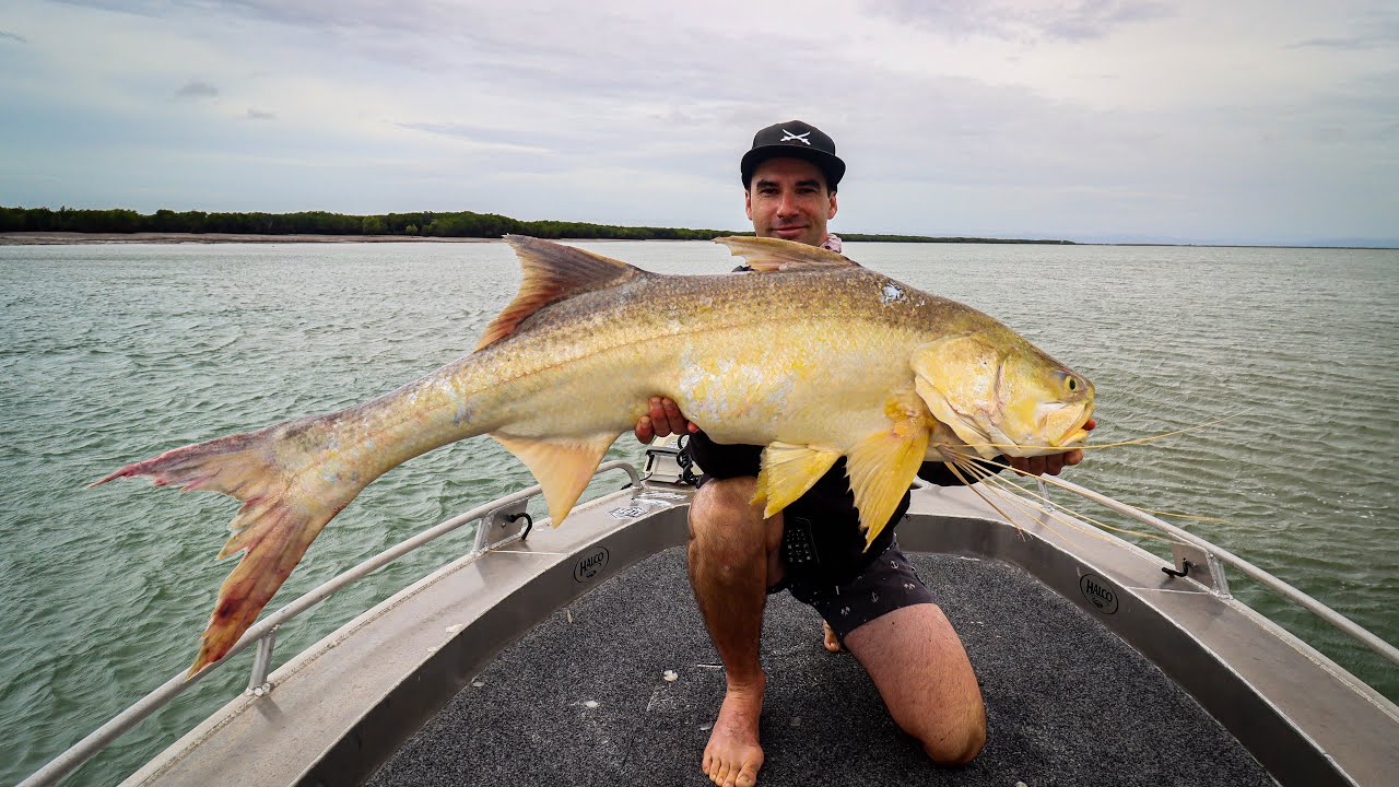 THREADFIN SALMON PB