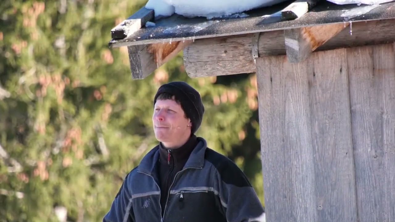 Warum Rotwild in den Bergen füttern   Besuch einer Fütterung   Bergjagdrevier #05
