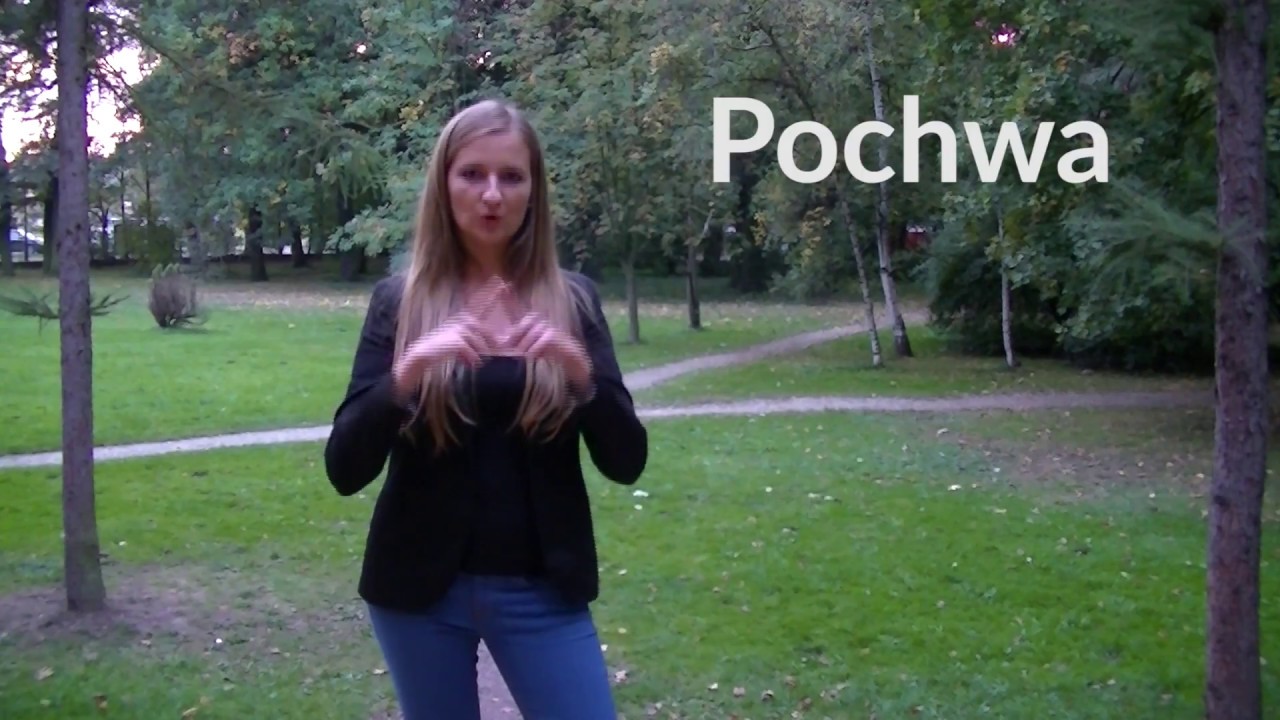 Pochwa