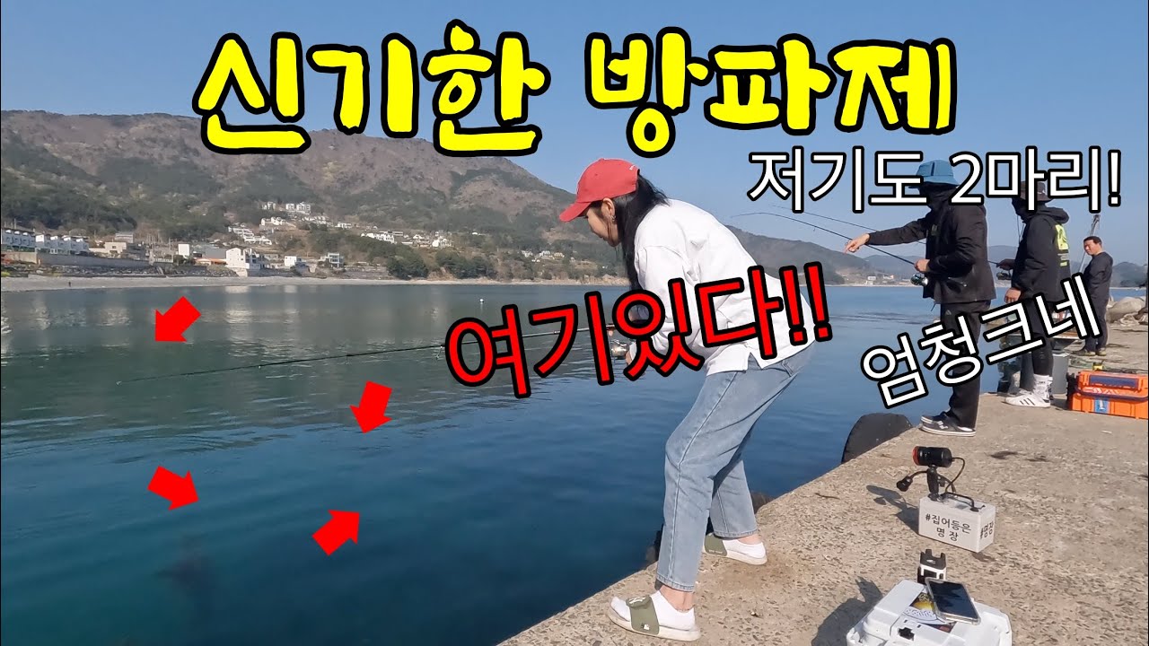 엄청난 몸값을 자랑하는 녀석들이 이 방파제로 몰려든다;; 요즘 한 마리만 잡아도 대박이라는데 이곳은...