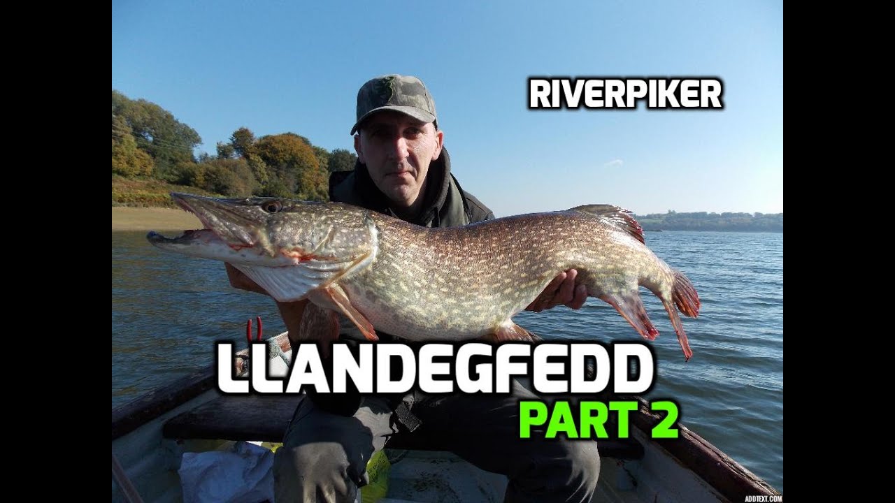 Llandegfedd pike fishing part 2 of 2 (video 120)