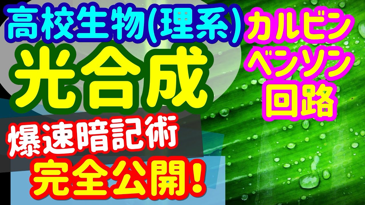 【高校生物 11】同化【カルビンベンソン回路】を宇宙一わかりやすく