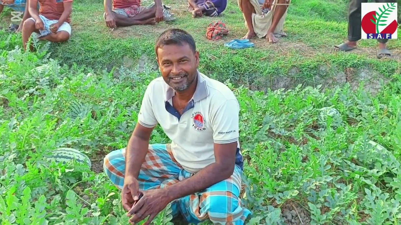 হাইব্রিজ তরমুজ 