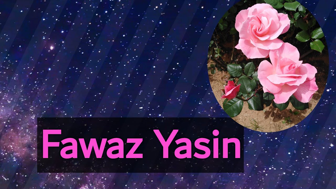 فواز ياسين.. أجمل عتابا بصوت ابو باسل (عتابات نار) /Fawaz yasin