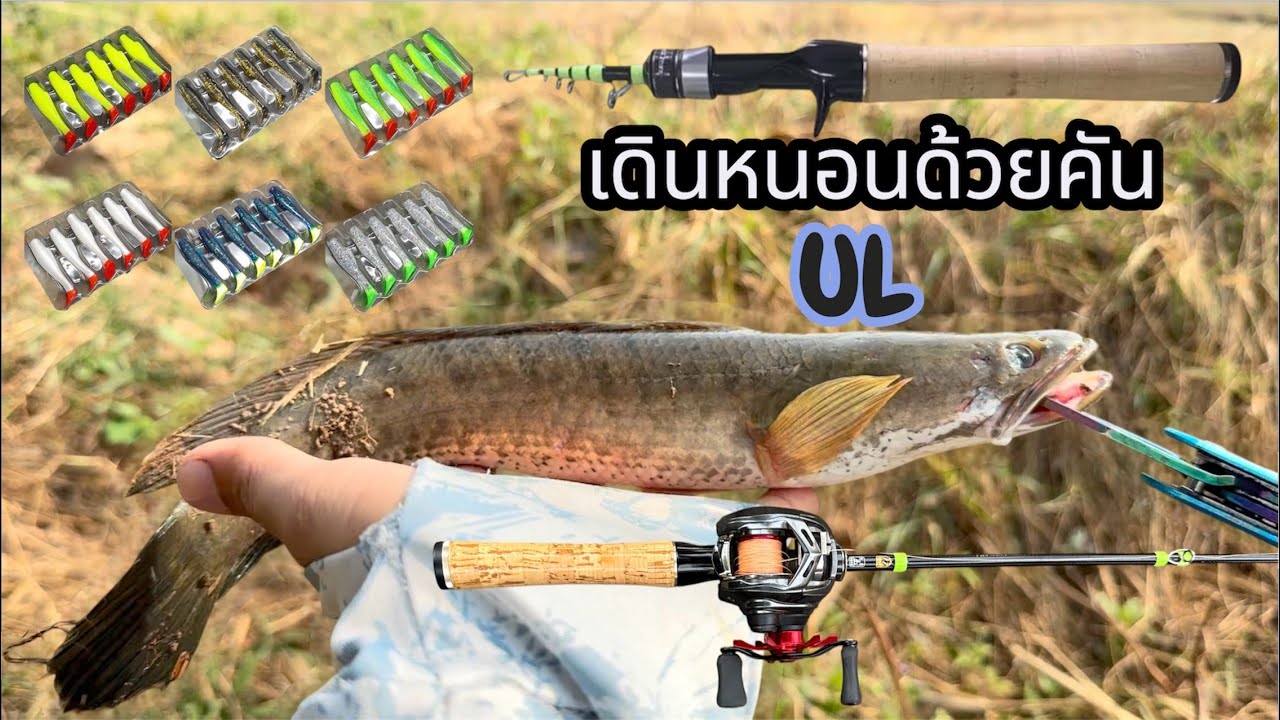 ใช้คัน สไลด์UL ของ purelure มาตกเท็กซัสกัน ตกโคตรมันส์เซนต์โคตรดี